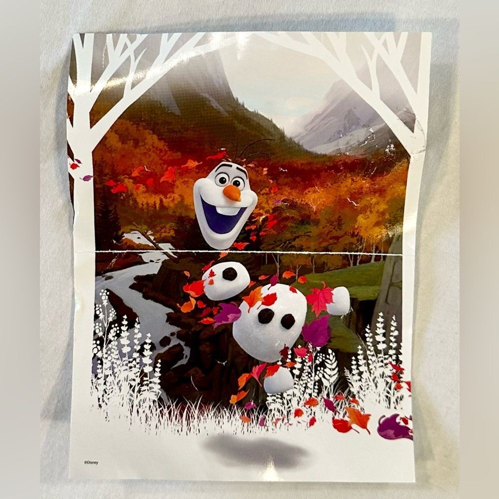 Disney Frozen II Olaf 48pc Puzzle with Blue Snowflake Case Complete Set - Picture 3 of 8